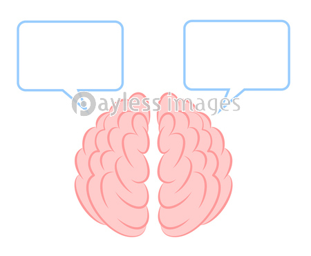 脳 右脳 左脳 大脳 イラスト 漫画 商用利用可能な写真素材 イラスト素材ならストックフォトの定額制ペイレスイメージズ