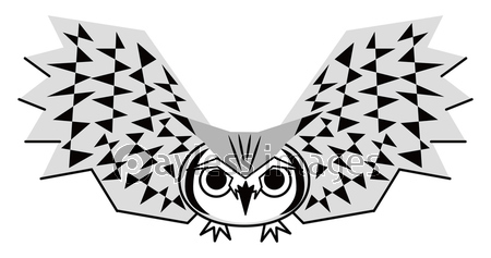 フクロウ お洒落なコノハズクさん ベクター イラスト 商用利用可能な写真素材 イラスト素材ならストックフォトの定額制ペイレスイメージズ