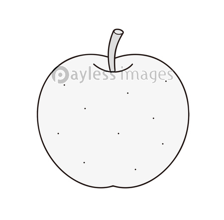 キウイフルーツ イラスト クリップアート 商用利用可能な写真素材 イラスト素材ならストックフォトの定額制ペイレスイメージズ