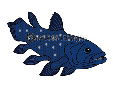 シーラカンス 深海魚 キャラクター ぬりえ イラスト クリップアート 商用利用可能な写真素材 イラスト 素材ならストックフォトの定額制ペイレスイメージズ シーラカンス 深海魚 キャラクター ぬりえ イラスト クリップアート 商用利用可能な写真素材 イラスト 素材ならストックフォトの定額制ペイレスイメージズ
