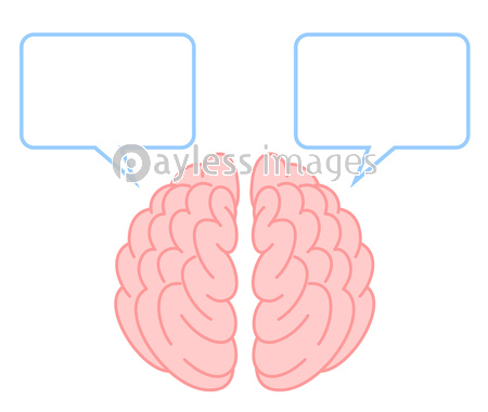 脳 右脳 左脳 大脳 イラスト 漫画 商用利用可能な写真素材 イラスト素材ならストックフォトの定額制ペイレスイメージズ