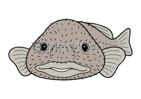 ブロブフィッシュ ニュウドウカジカ 深海魚 キャラクター ベクター