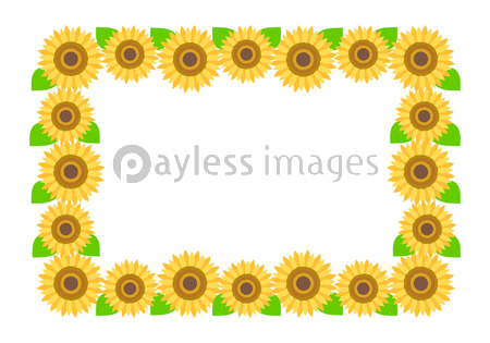ひまわりのフレーム イラスト Sunflower ストックフォトの定額制ペイレスイメージズ