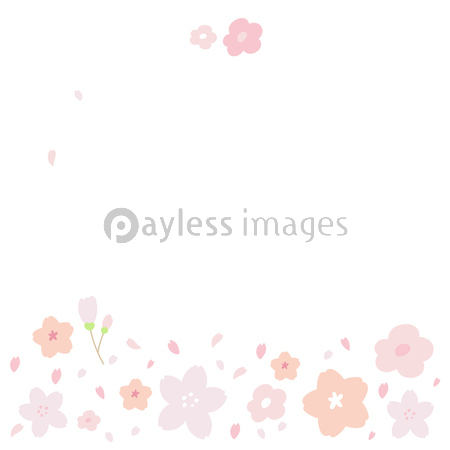 桜 フレーム イラスト ストックフォトの定額制ペイレスイメージズ