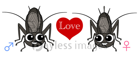 スズムシ キャラクター イラスト クリップアート ストックフォトの