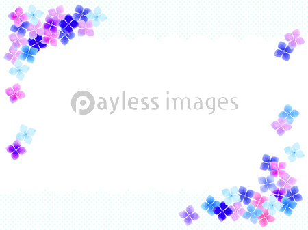 紫陽花のイラスト背景 商用利用可能な写真素材 イラスト素材ならストックフォトの定額制ペイレスイメージズ
