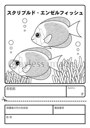 スクリブルドエンゼルフィッシュ ぬりえ 応募用紙 商用利用可能な写真素材 イラスト素材ならストックフォトの定額制ペイレスイメージズ スクリブルドエンゼルフィッシュ ぬりえ 応募用紙 商用利用可能な写真素材 イラスト素材ならストックフォトの定額制ペイレスイメージズ