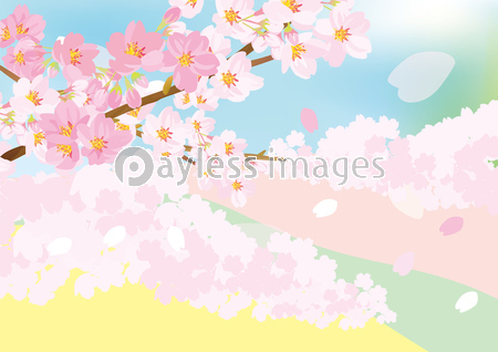 優しい桜イラスト 商用利用可能な写真素材 イラスト素材ならストックフォトの定額制ペイレスイメージズ