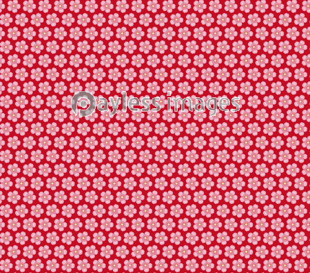 桜の花 背景素材 シームレス パターン イラスト ストックフォトの定額制ペイレスイメージズ