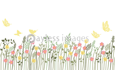 シームレスなひまわりの背景セットの写真 イラスト素材 Xf6195234303