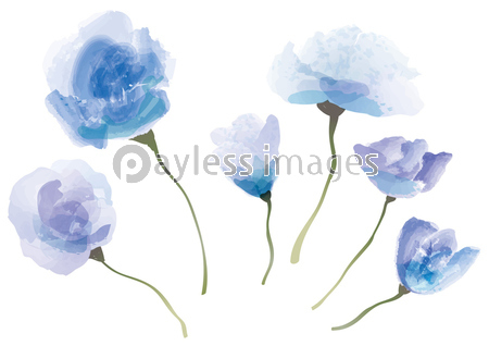 水彩風 青い花のイラストセット 商用利用可能な写真素材 イラスト素材ならストックフォトの定額制ペイレスイメージズ