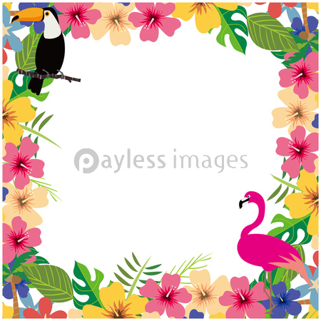 南国イメージイラスト 商用利用可能な写真素材 イラスト素材ならストックフォトの定額制ペイレスイメージズ 南国イメージイラスト 商用利用可能な写真素材 イラスト素材ならストックフォトの定額制ペイレスイメージズ