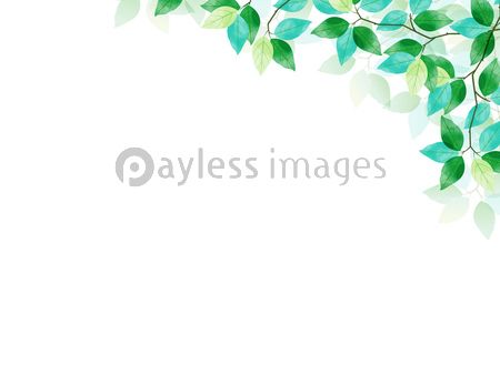 フレーム 葉 緑 新緑 木漏れ日 風景 初夏 ベクター イラスト 白バック 商用利用可能な写真素材 イラスト 素材ならストックフォトの定額制ペイレスイメージズ