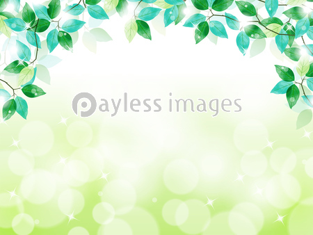 フレーム 葉 緑 新緑 木漏れ日 風景 初夏 ベクター イラスト 白バック 商用利用可能な写真素材 イラスト 素材ならストックフォトの定額制ペイレスイメージズ