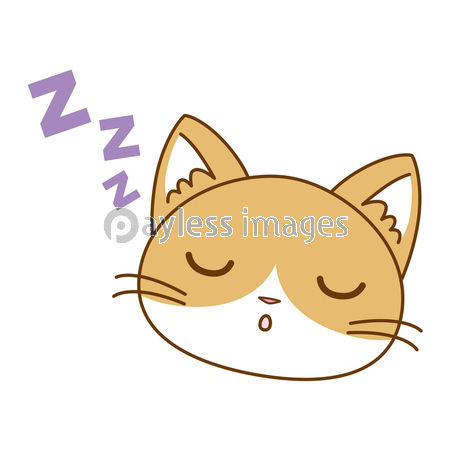 雫 mi（猫アイコン）さん専用 スタンプ風アイコン 猫「おやすみ」 - 商用利用可能な写真素材