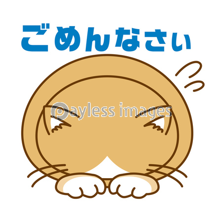 雫 mi（猫アイコン）さん専用 スタンプ風アイコン 猫「ごめんなさい」 - 商用利用可能な写真素材