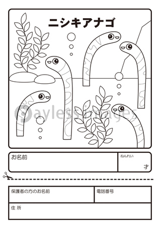 ニシキアナゴ ぬりえ 応募用紙 Coloring Picture Gorgasia Preclara Character Illustration ストックフォトの定額制ペイレスイメージズ