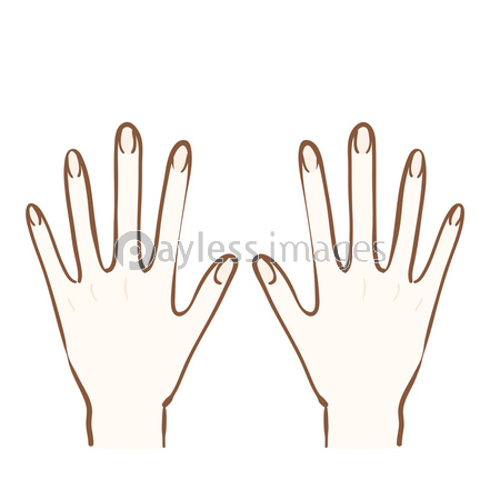 手の甲のイラスト 商用利用可能な写真素材 イラスト素材ならストックフォトの定額制ペイレスイメージズ
