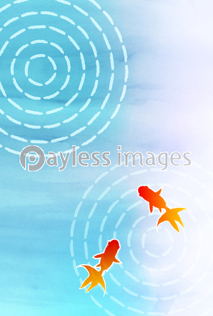 金魚 水彩 暑中見舞い 背景 商用利用可能な写真素材 イラスト素材ならストックフォトの定額制ペイレスイメージズ