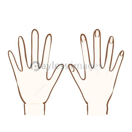 手のひらと手の甲のイラスト 商用利用可能な写真素材 イラスト素材ならストックフォトの定額制ペイレスイメージズ