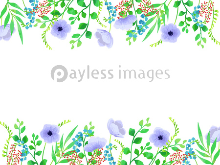 水彩風の植物のイラストフレーム ストックフォトの定額制ペイレスイメージズ