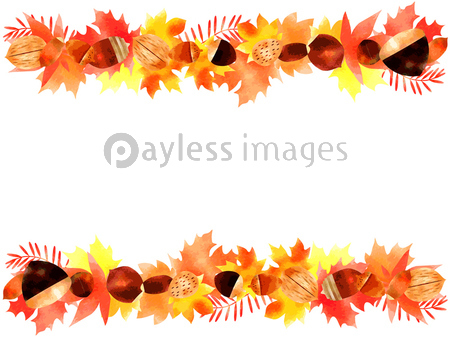 落ち葉のイラスト背景 商用利用可能な写真素材 イラスト素材ならストックフォトの定額制ペイレスイメージズ