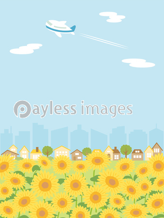 夏のひまわり畑の街並み 背景 ストックフォトの定額制ペイレスイメージズ