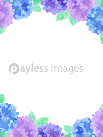 水彩風あじさいのイラスト背景 商用利用可能な写真素材 イラスト素材ならストックフォトの定額制ペイレスイメージズ