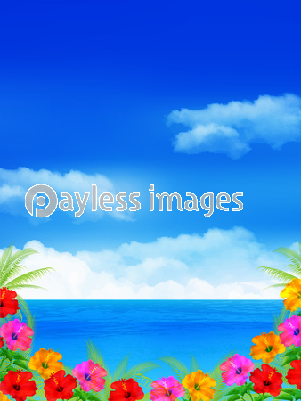 ハイビスカス 海 夏 背景 商用利用可能な写真素材 イラスト素材ならストックフォトの定額制ペイレスイメージズ