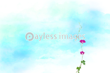 朝顔とブルーを基調とした水彩背景 商用利用可能な写真素材 イラスト素材ならストックフォトの定額制ペイレスイメージズ