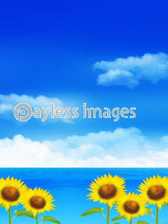 ハイビスカス 夏 花 背景 商用利用可能な写真素材 イラスト素材ならストックフォトの定額制ペイレスイメージズ