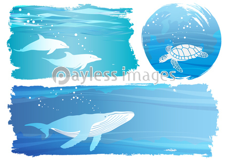 海の生き物 背景イラストセット 商用利用可能な写真素材 イラスト素材ならストックフォトの定額制ペイレスイメージズ