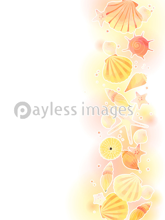 かわいい貝殻のイラスト背景 ストックフォトの定額制ペイレスイメージズ