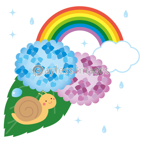 梅雨 カタツムリと紫陽花と虹 イラスト ストックフォトの定額制ペイレスイメージズ