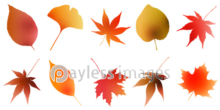 紅葉 もみじ 秋 アイコン 商用利用可能な写真素材 イラスト素材ならストックフォトの定額制ペイレスイメージズ