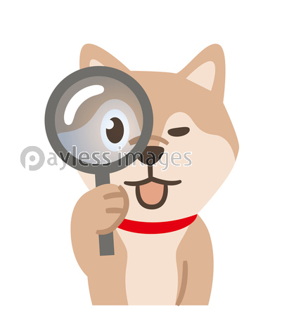 虫眼鏡を覗く犬 商用利用可能な写真素材 イラスト素材ならストックフォトの定額制ペイレスイメージズ