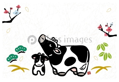 21年 年賀状 丑年 牛 イラスト 21年年賀状 手描きの牛の親子のイラスト 商用利用可能な写真素材 イラスト 素材ならストックフォトの定額制ペイレスイメージズ