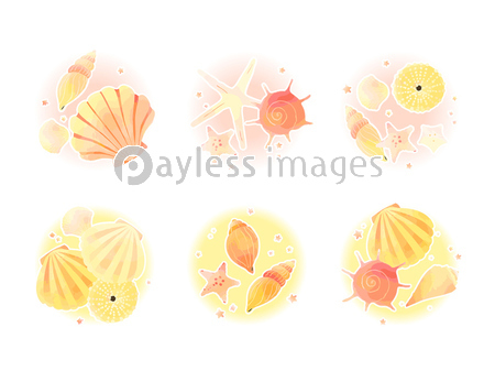 かわいい貝殻のイラスト素材 ストックフォトの定額制ペイレスイメージズ