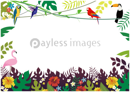 南国イメージイラスト 商用利用可能な写真素材 イラスト素材ならストックフォトの定額制ペイレスイメージズ