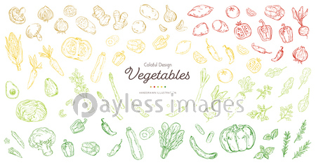 おしゃれでラフな野菜のスケッチイラストセット 商用利用可能な写真素材 イラスト素材ならストックフォトの定額制ペイレスイメージズ