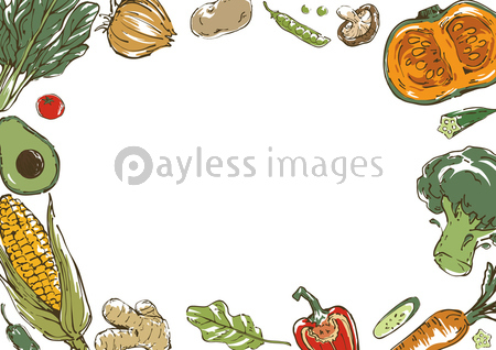 おしゃれな野菜のスケッチイラスト 背景フレーム 商用利用可能な写真素材 イラスト素材ならストックフォトの定額制ペイレスイメージズ