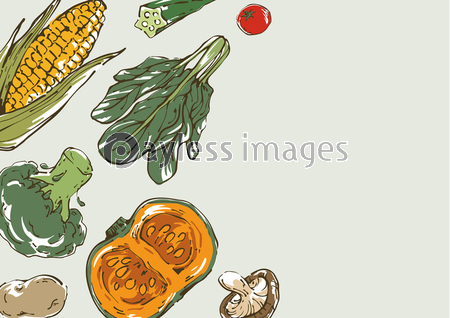 おしゃれな野菜のスケッチイラスト 背景 商用利用可能な写真素材 イラスト素材ならストックフォトの定額制ペイレスイメージズ