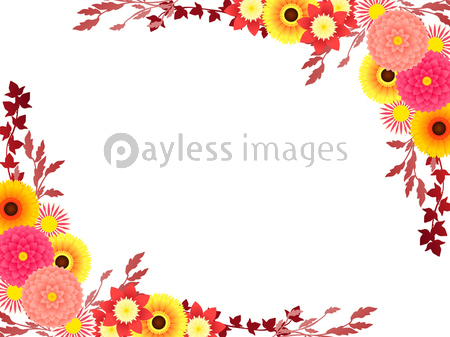 秋色ダリアのイラストフレーム 商用利用可能な写真素材 イラスト素材ならストックフォトの定額制ペイレスイメージズ