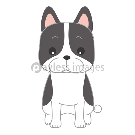 ダックスフンド 犬 イラスト 商用利用可能な写真素材 イラスト素材ならストックフォトの定額制ペイレスイメージズ