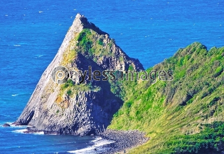 ��������ʻ���ԡ�