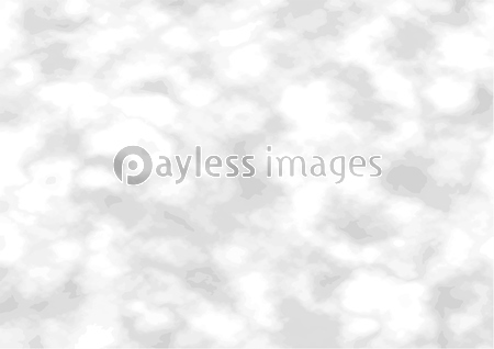 薄いグレーの大理石 モノトーン テクスチャ ベクター素材 商用利用可能な写真素材 イラスト素材ならストックフォトの定額制ペイレスイメージズ