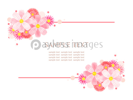 コスモスとアスターのイラストのフレーム 商用利用可能な写真素材 イラスト素材ならストックフォトの定額制ペイレスイメージズ