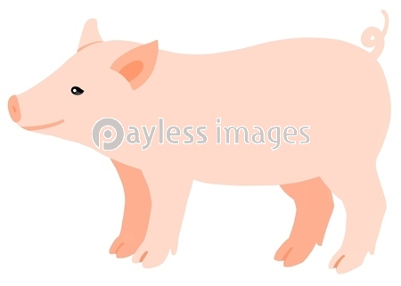 シンプルな子豚のイラスト 商用利用可能な写真素材 イラスト素材ならストックフォトの定額制ペイレスイメージズ