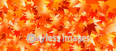 紅葉をデザインした秋のイメージの背景素材 ストックフォトの定額制ペイレスイメージズ