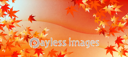紅葉をデザインした秋のイメージの背景素材 ストックフォトの定額制ペイレスイメージズ
